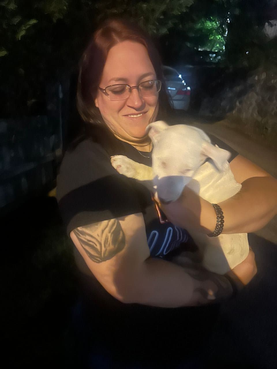 Pet travel photo 1
