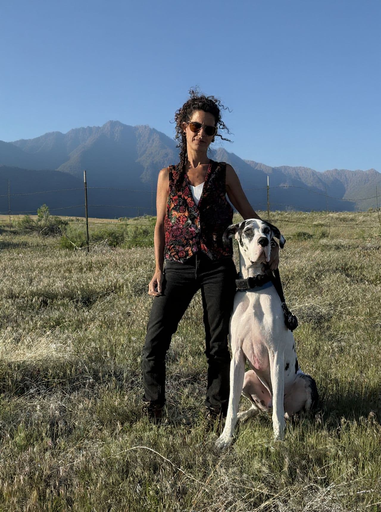 Pet travel photo 3