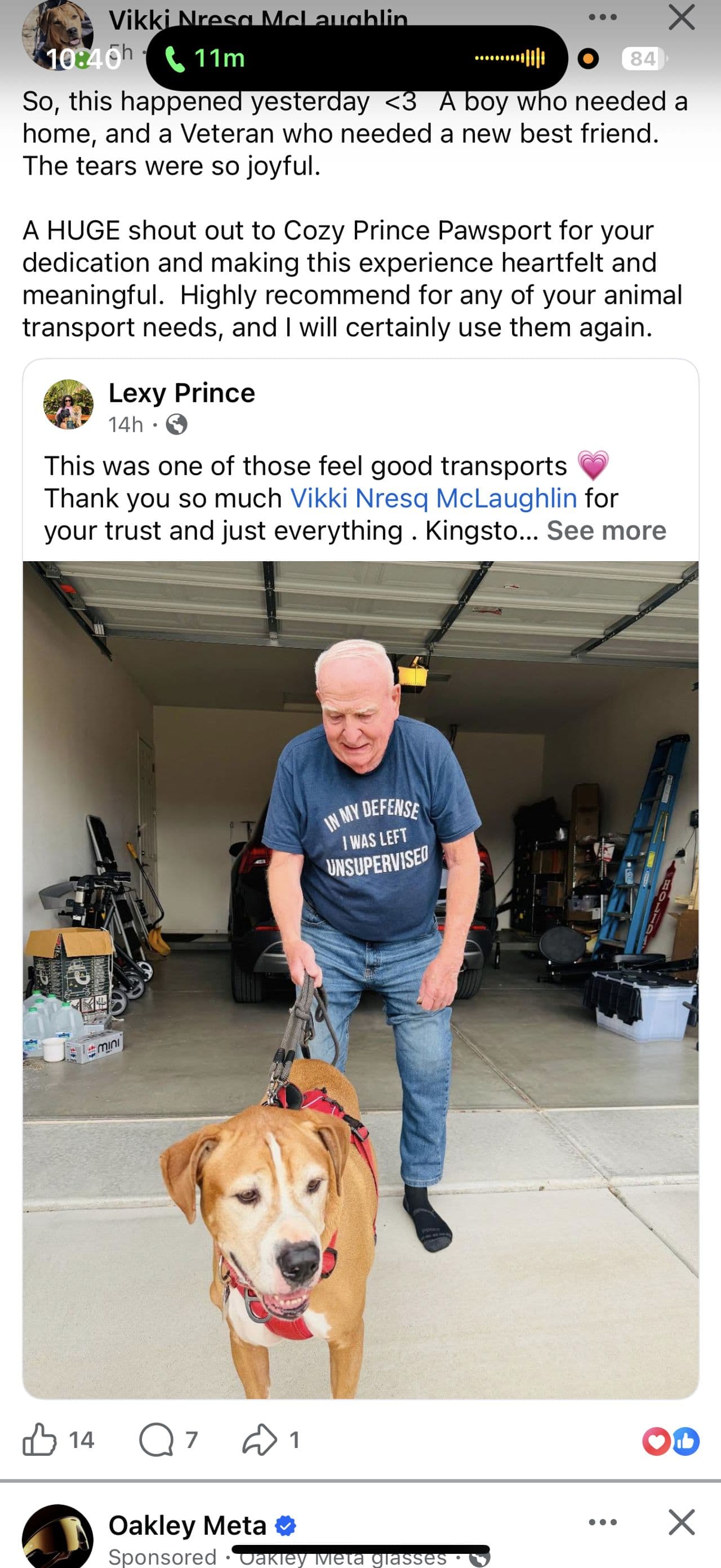 Pet travel photo 3