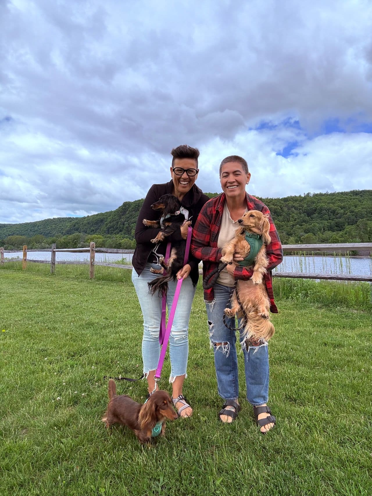 Pet travel photo 6