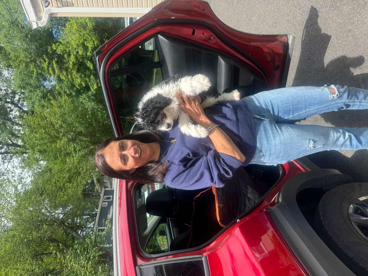 Pet travel photo 5