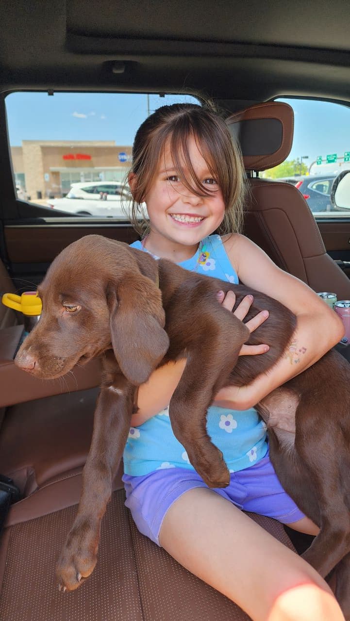 Pet travel photo 6