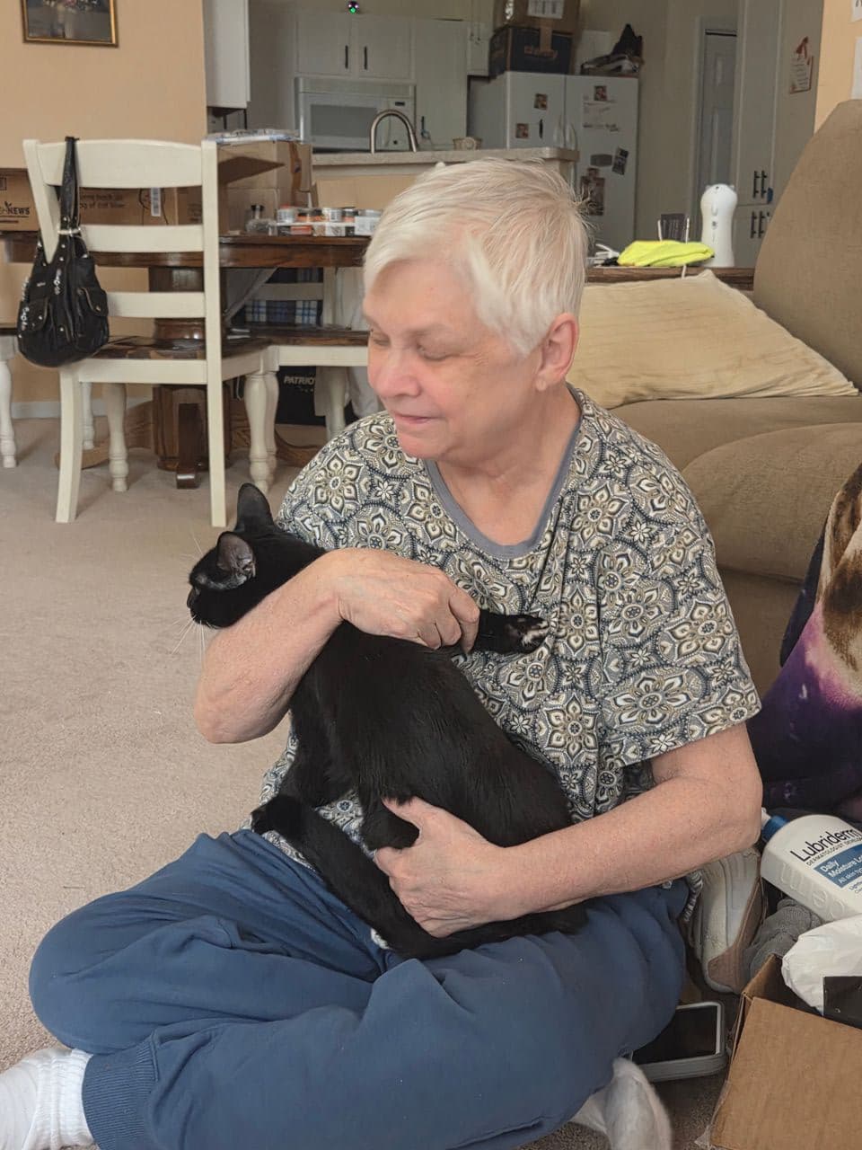 Pet travel photo 1