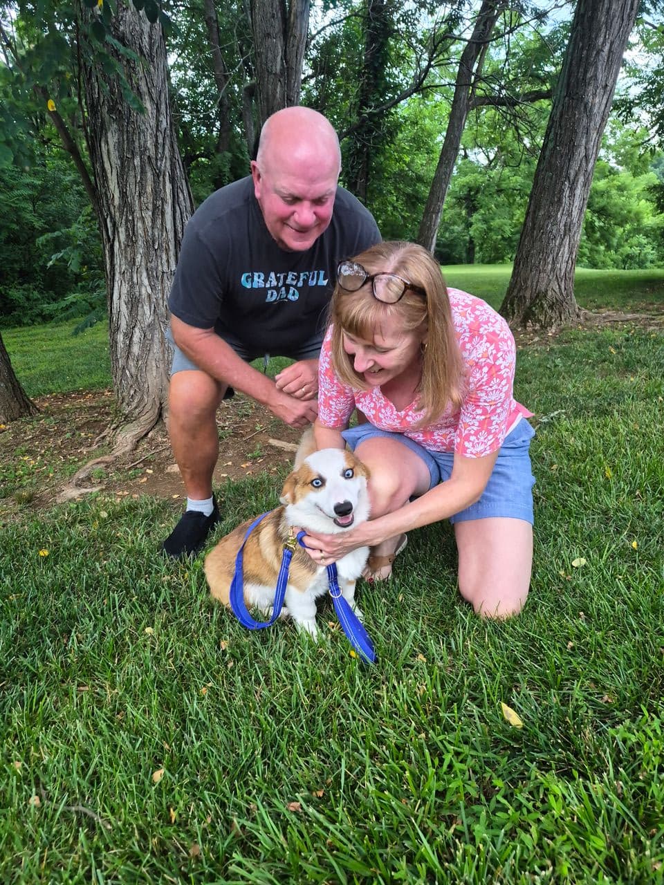 Pet travel photo 3