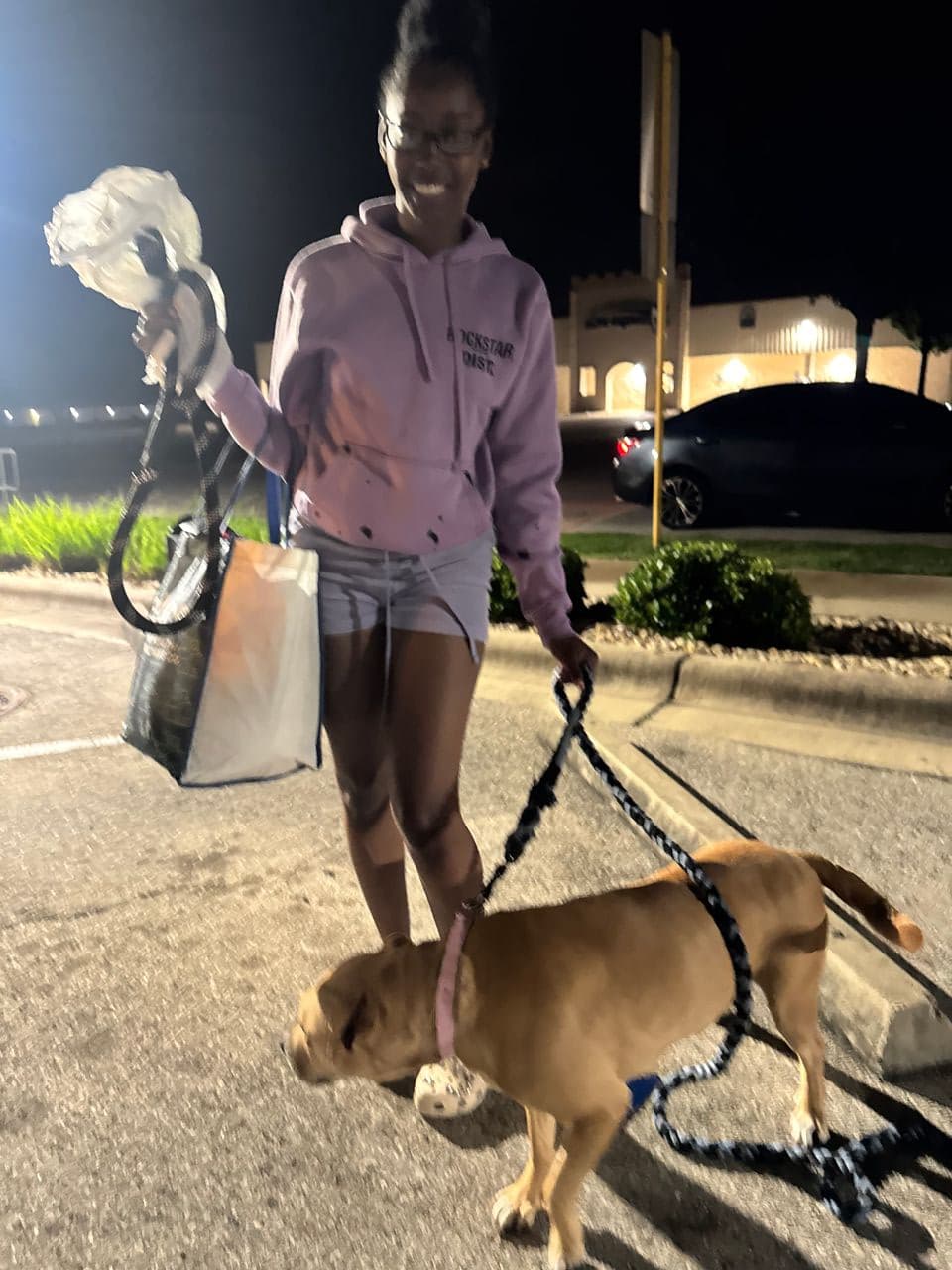 Pet travel photo 6