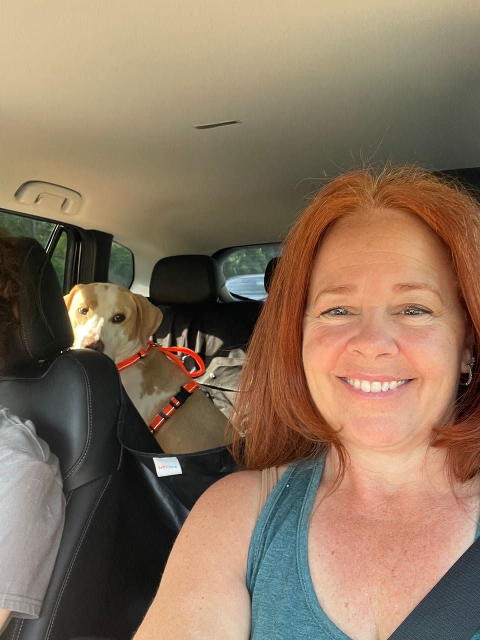Pet travel photo 1