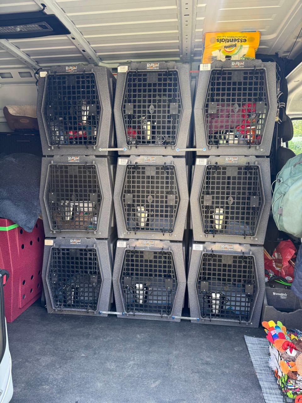 Pet travel photo 2
