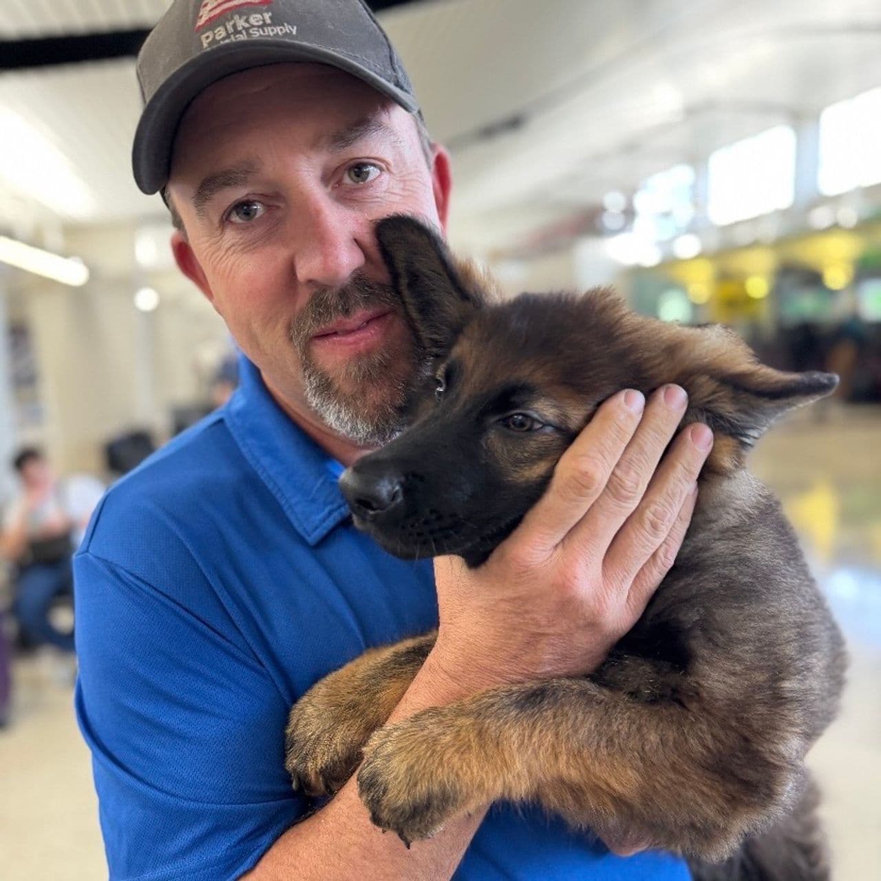 Pet travel photo 2