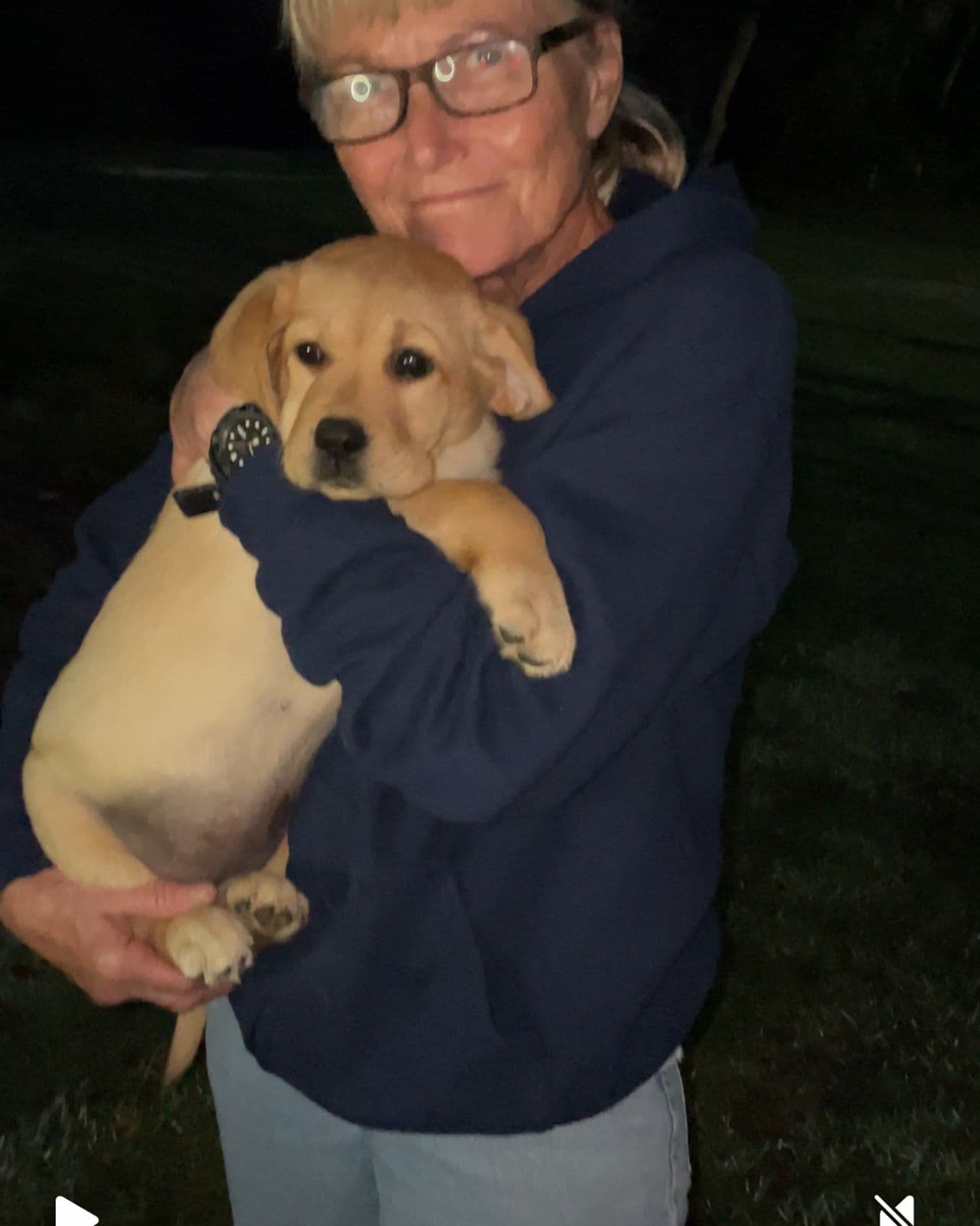 Pet travel photo 2