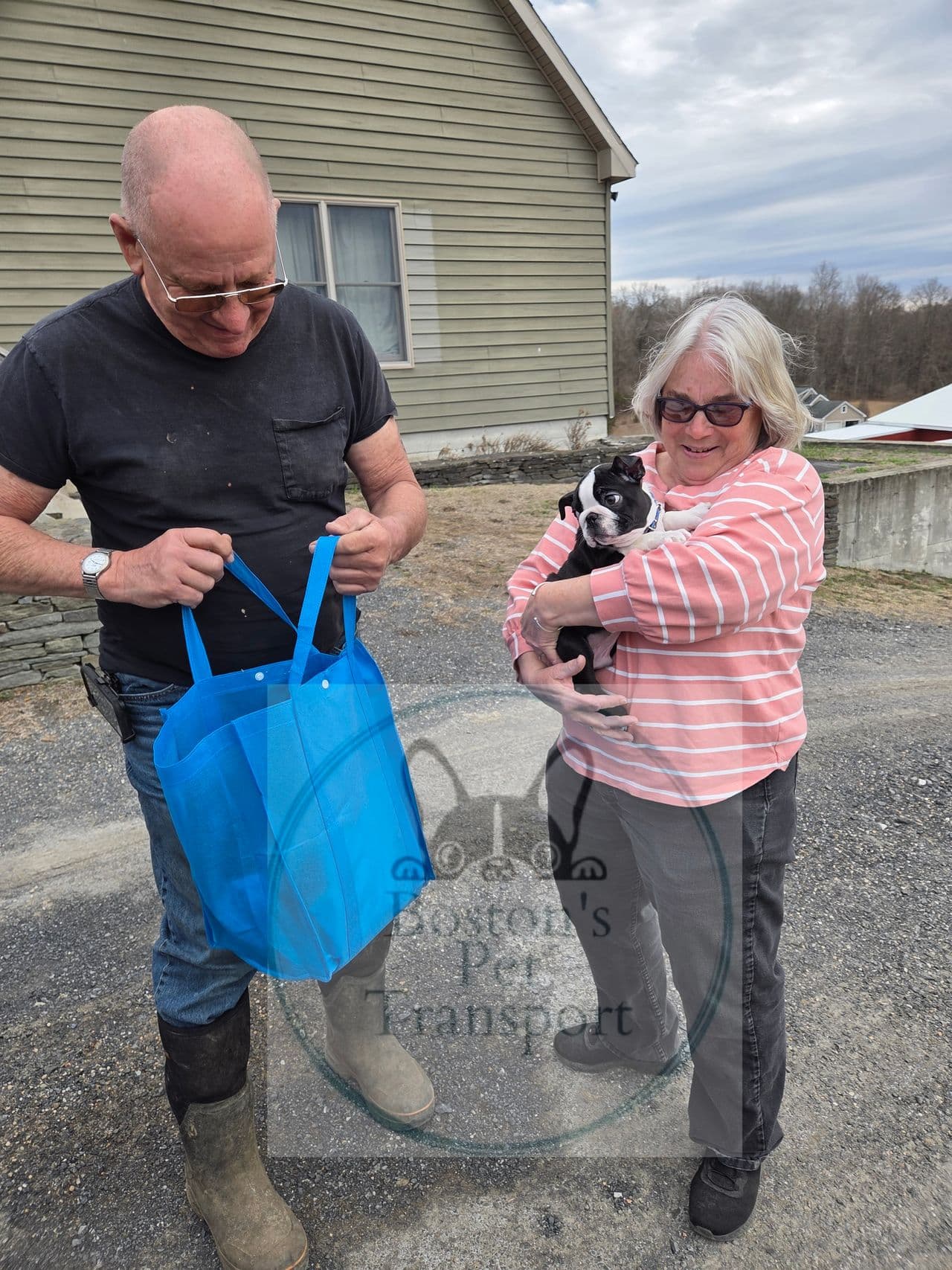 Pet travel photo 1