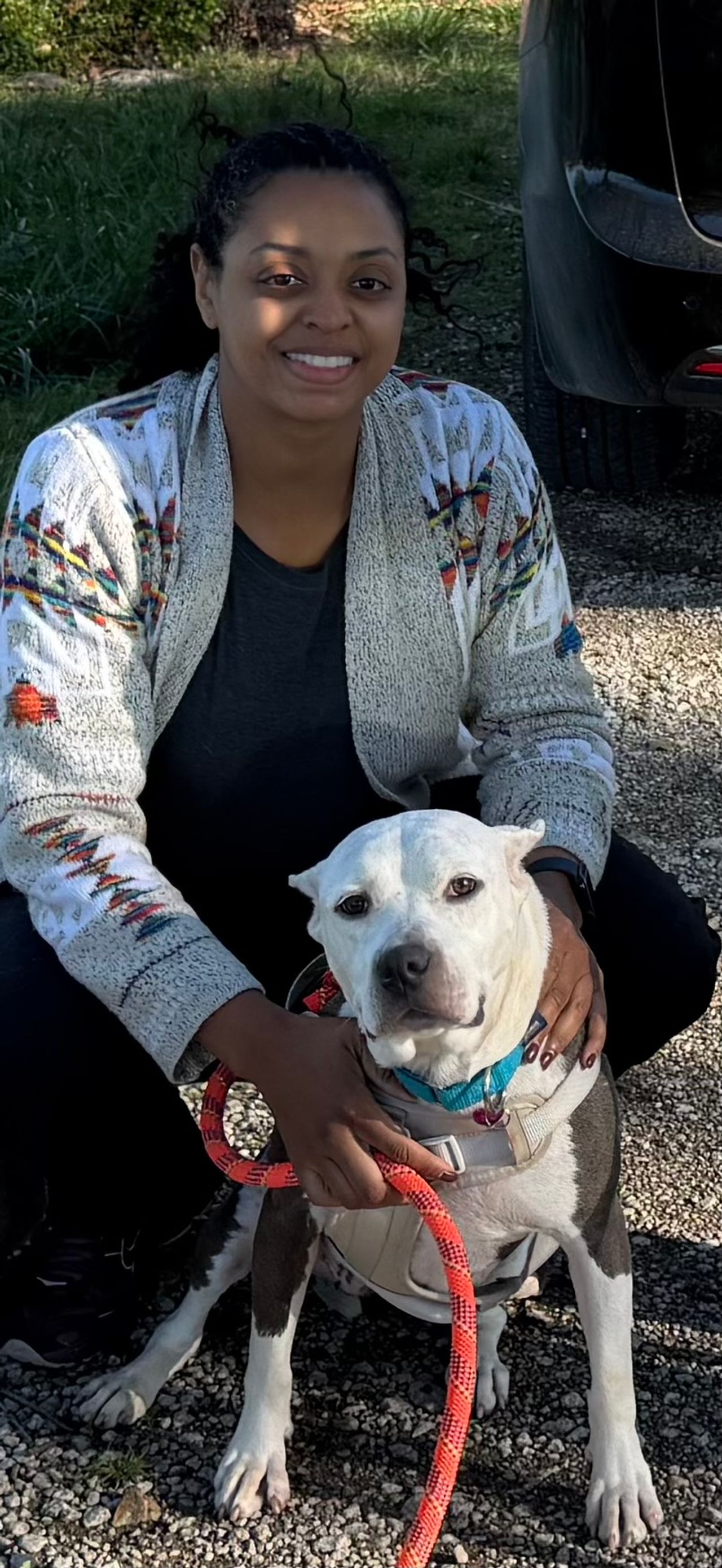 Pet travel photo 2