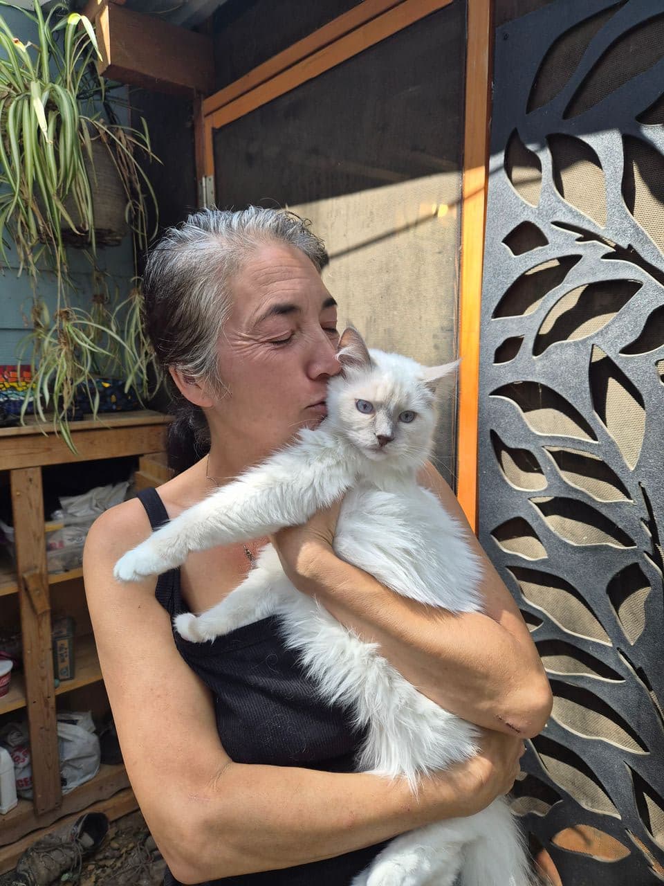 Pet travel photo 1