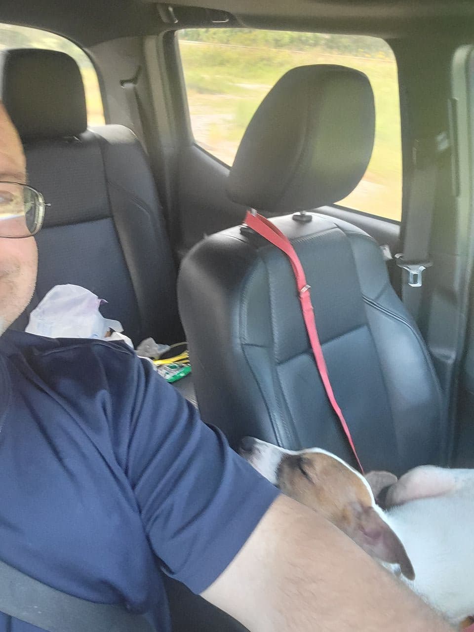 Pet travel photo 2