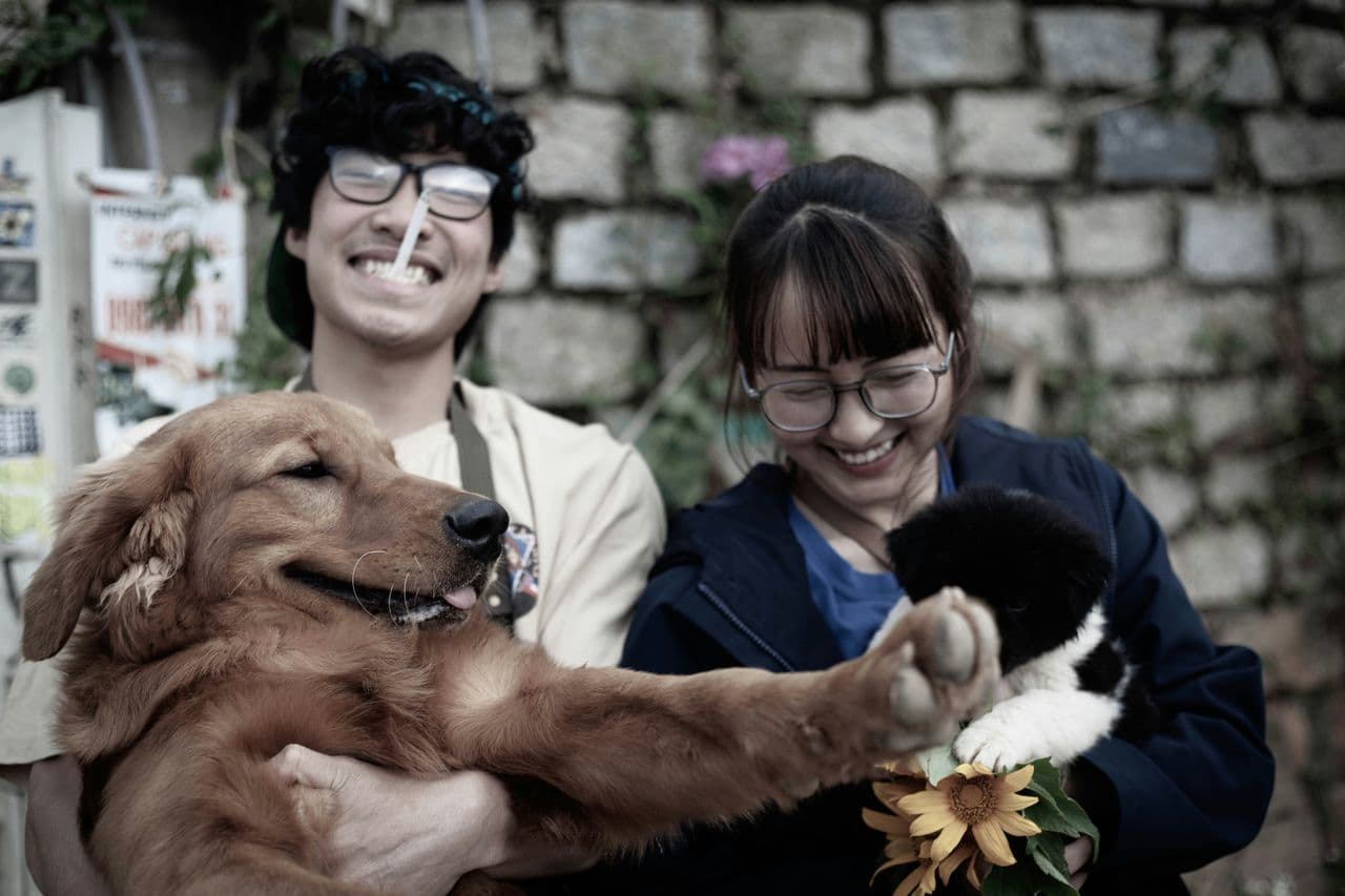 Pet travel photo 3