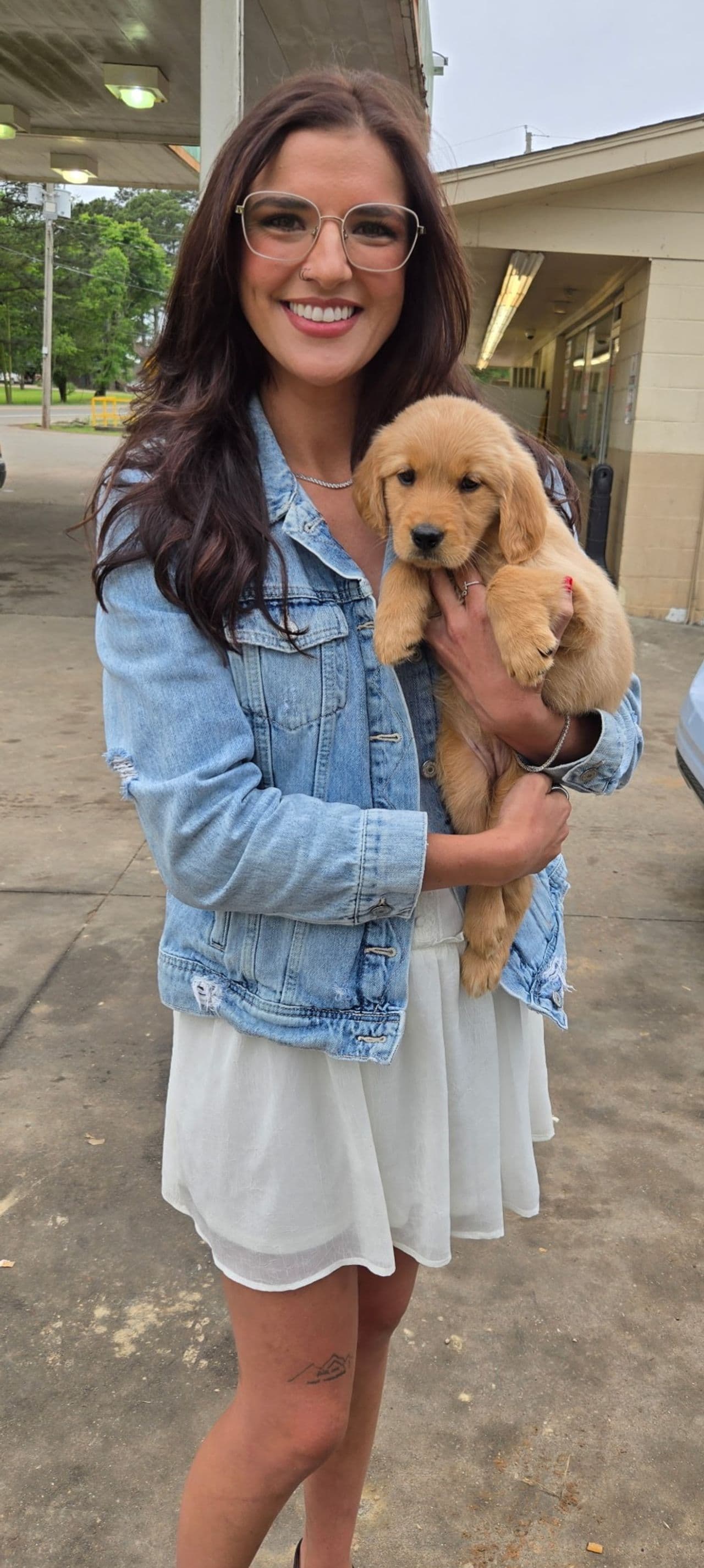 Pet travel photo 1