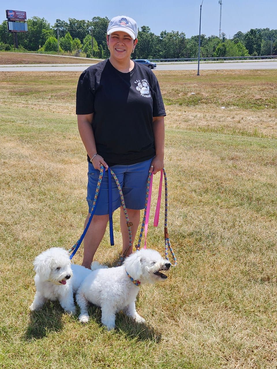 Pet travel photo 4