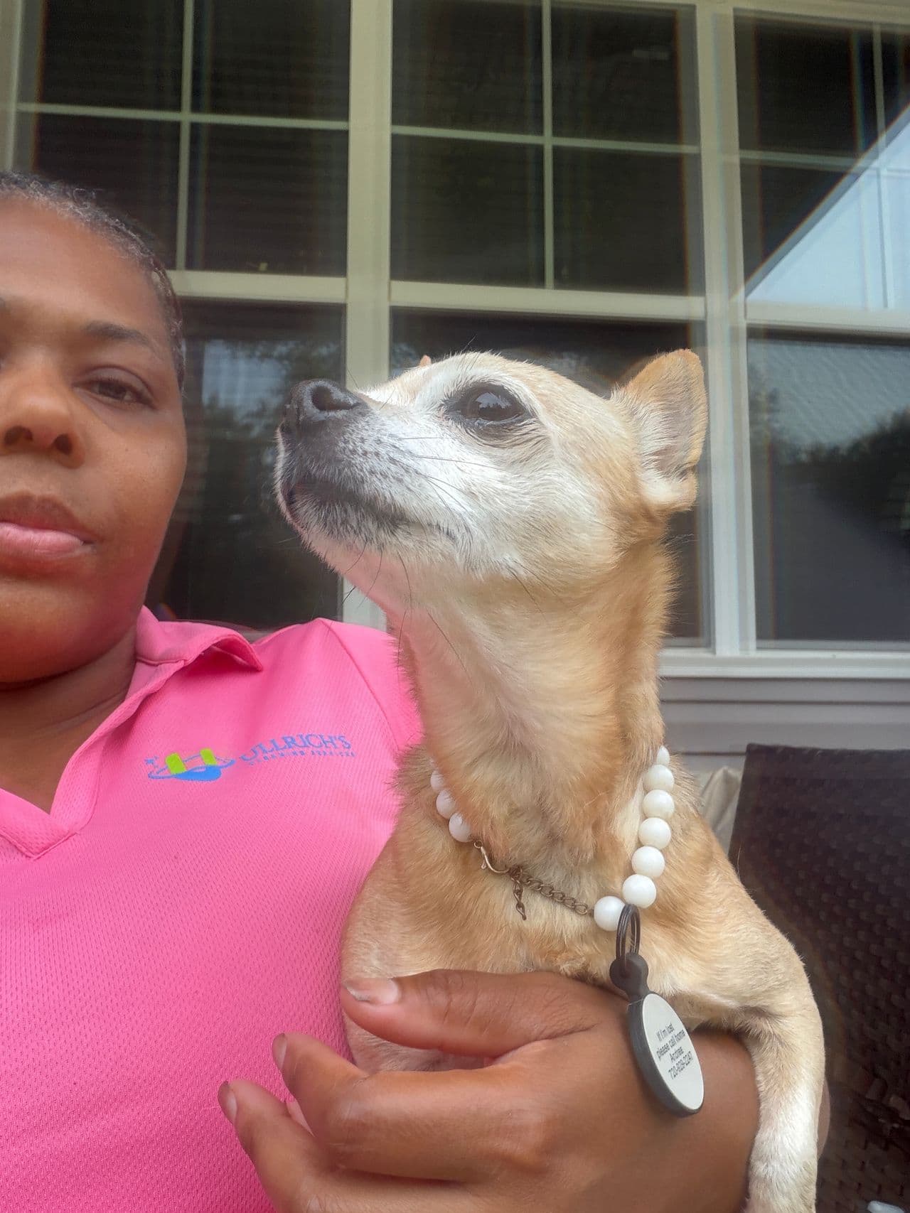 Pet travel photo 2