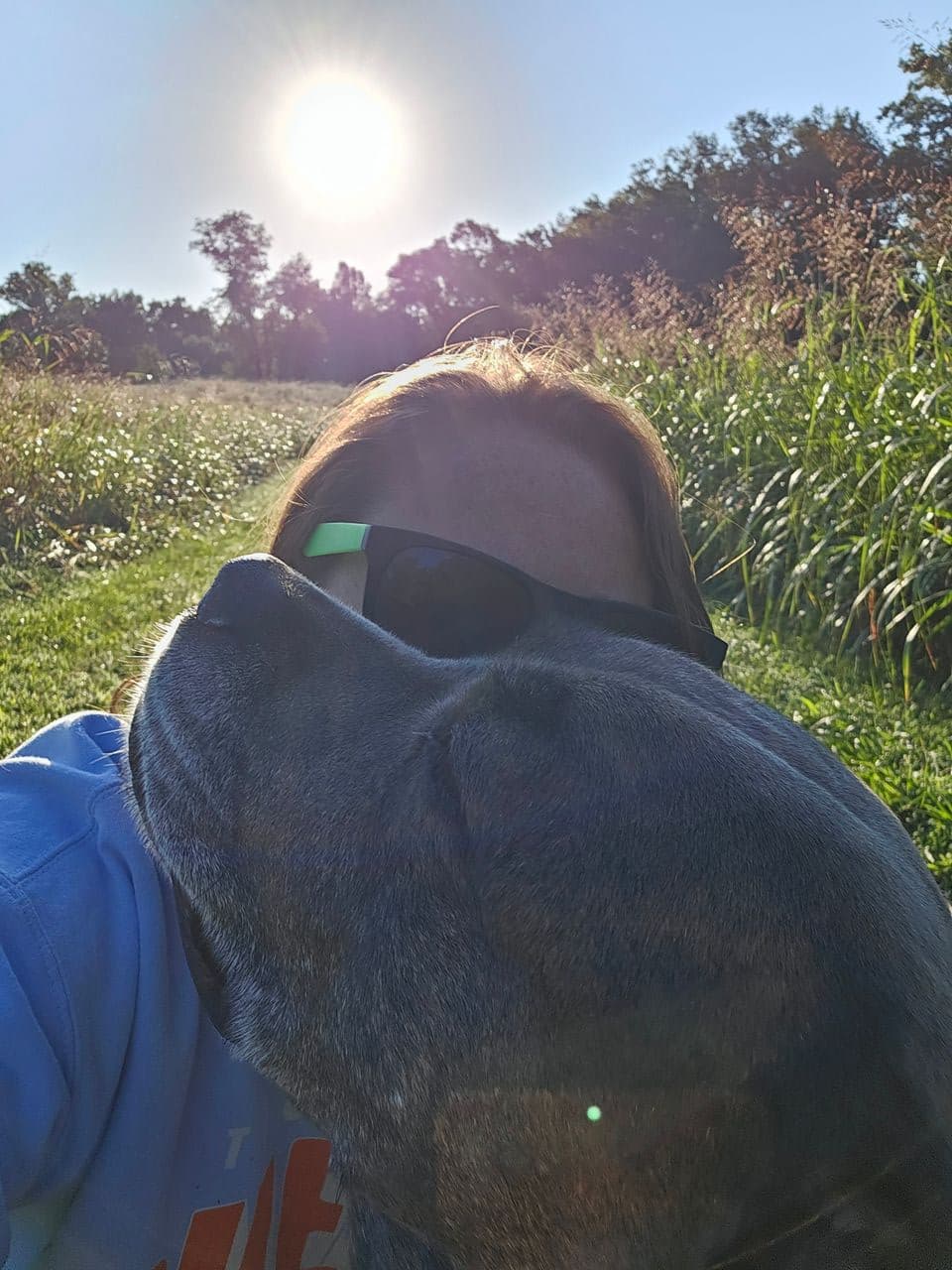 Pet travel photo 5