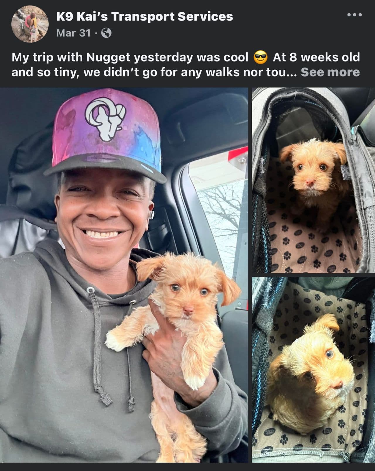 Pet travel photo 1