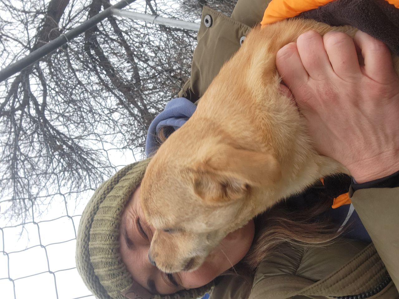 Pet travel photo 2