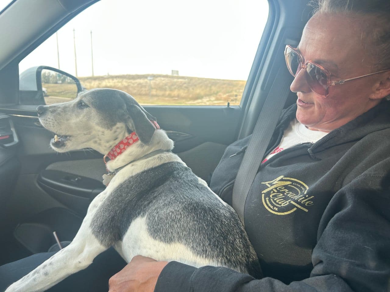 Pet travel photo 5