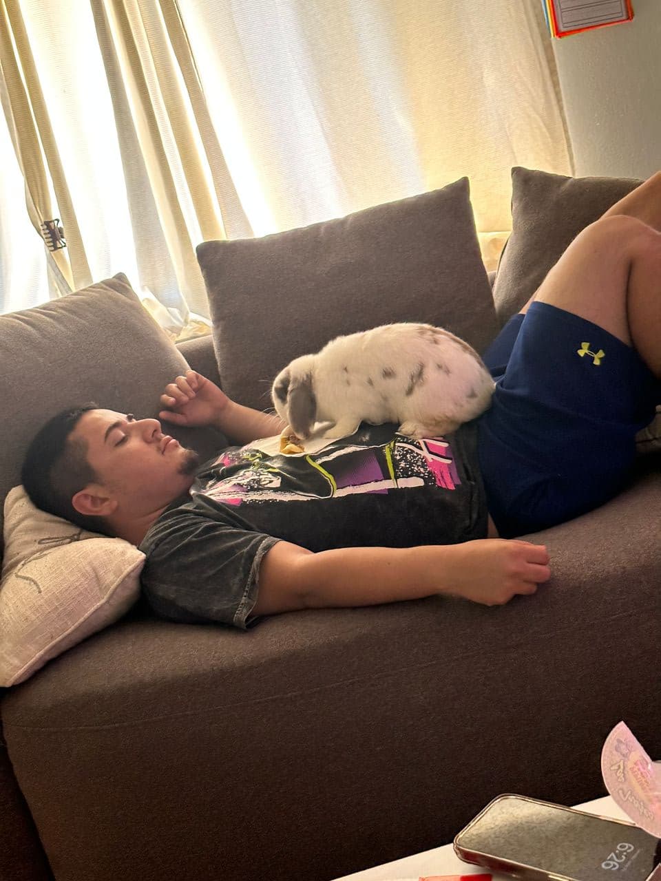Pet travel photo 3