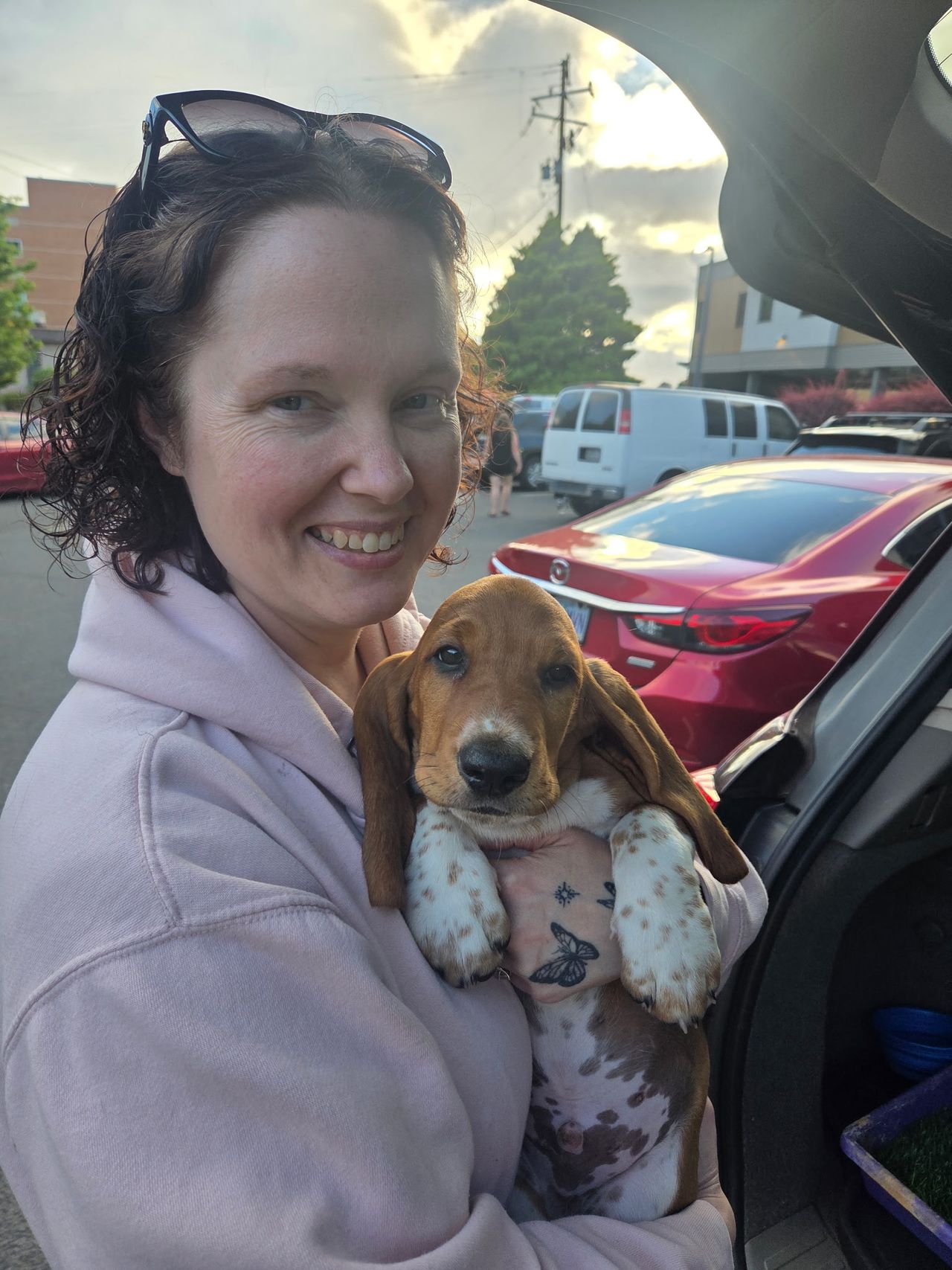 Pet travel photo 1