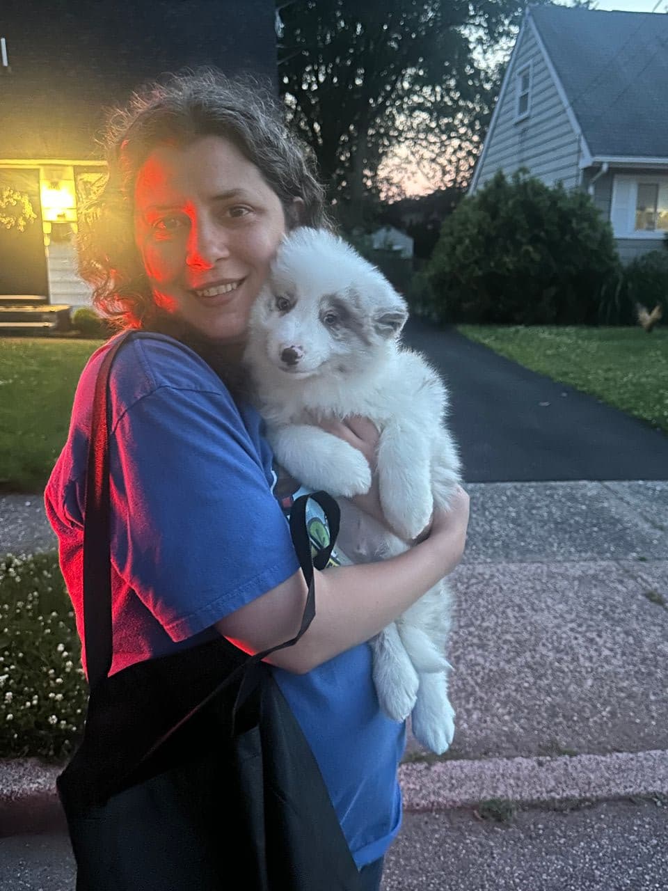 Pet travel photo 2