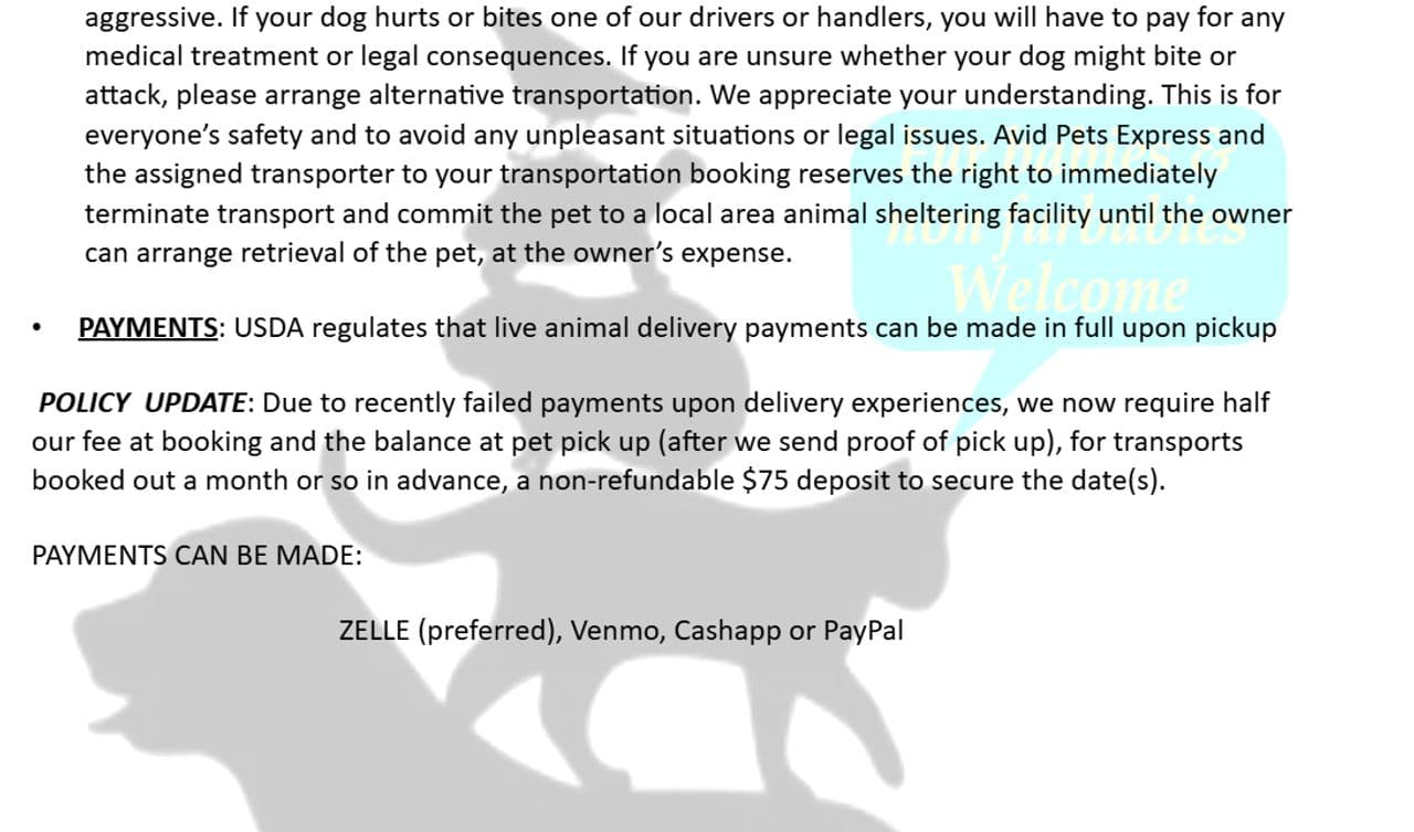 Pet travel photo 4