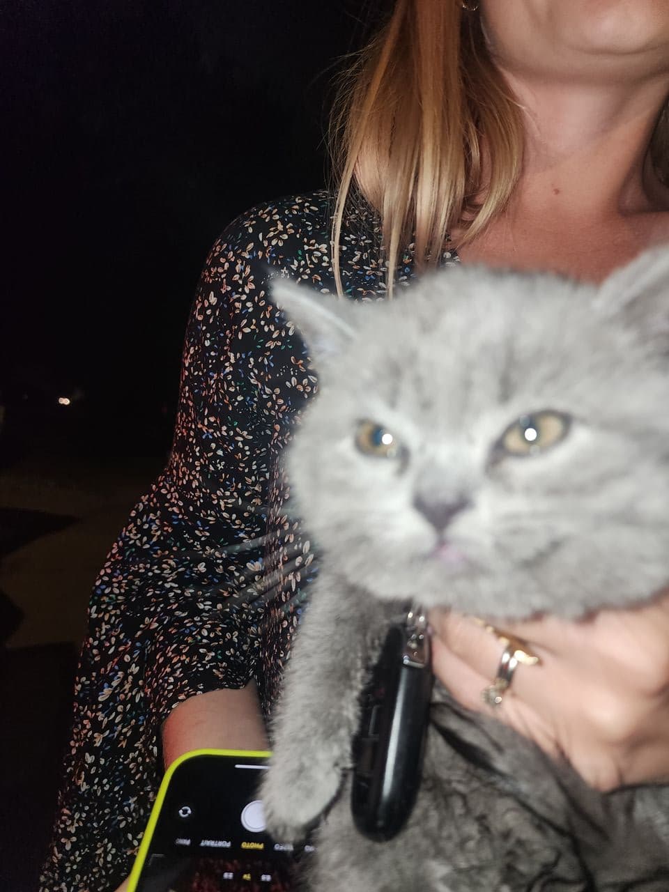 Pet travel photo 2