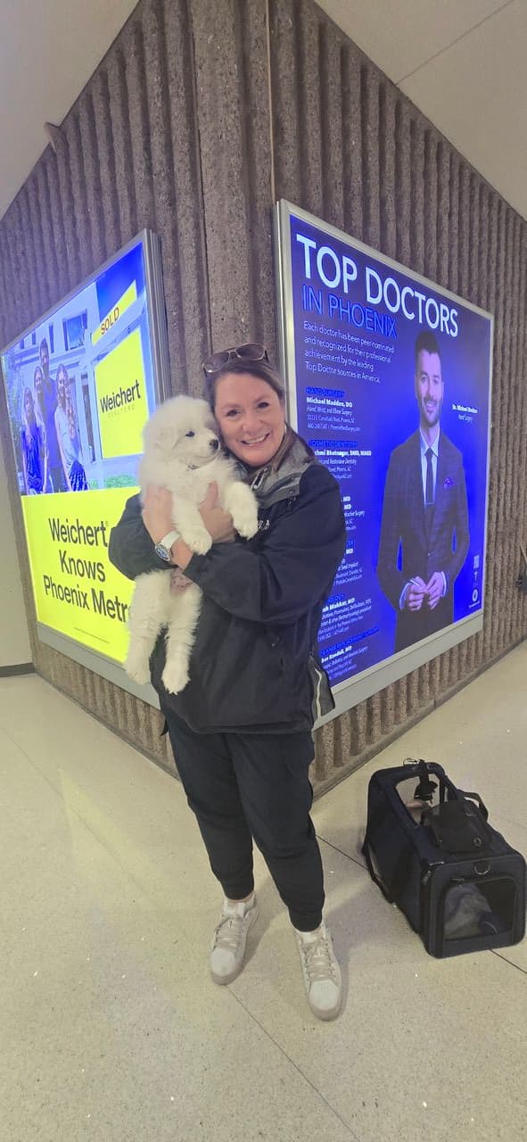 Pet travel photo 3