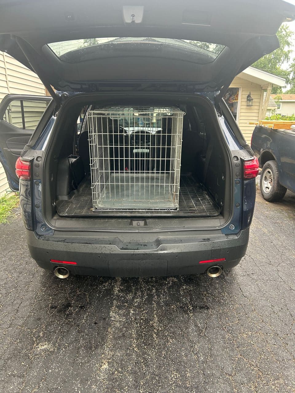 Pet travel photo 3