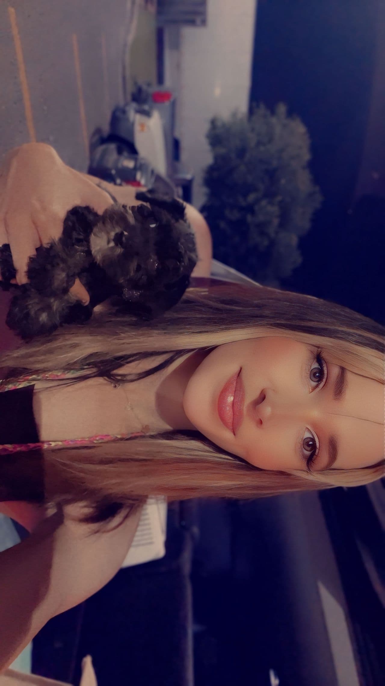 Pet travel photo 2
