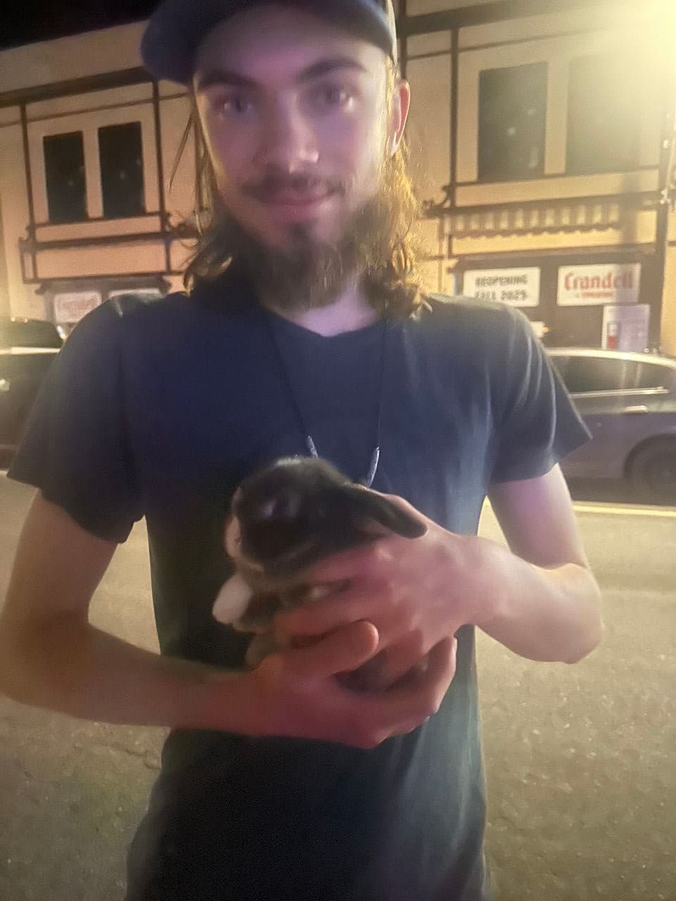 Pet travel photo 3