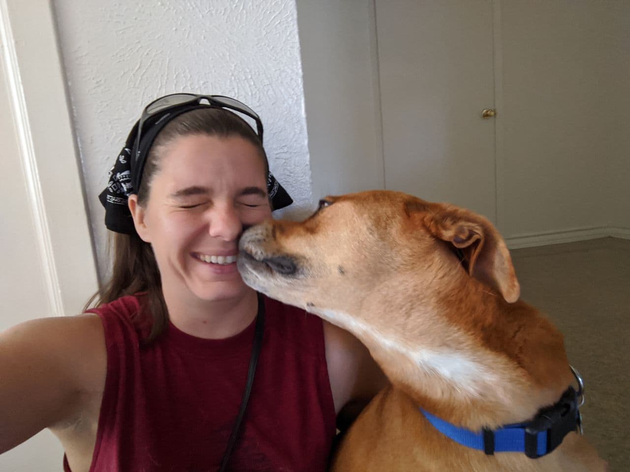Pet travel photo 1