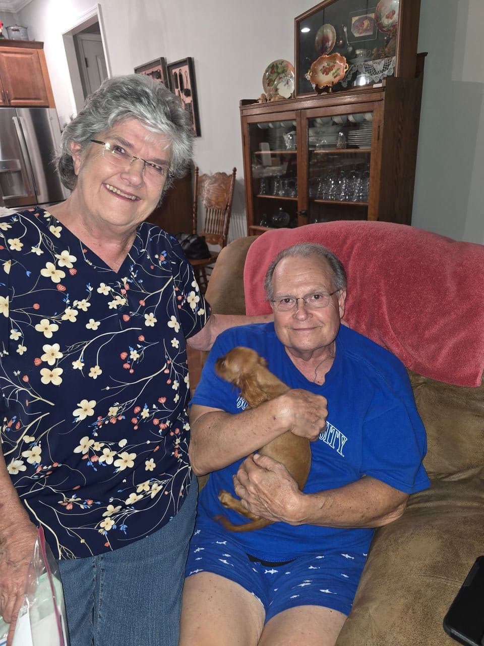 Pet travel photo 4
