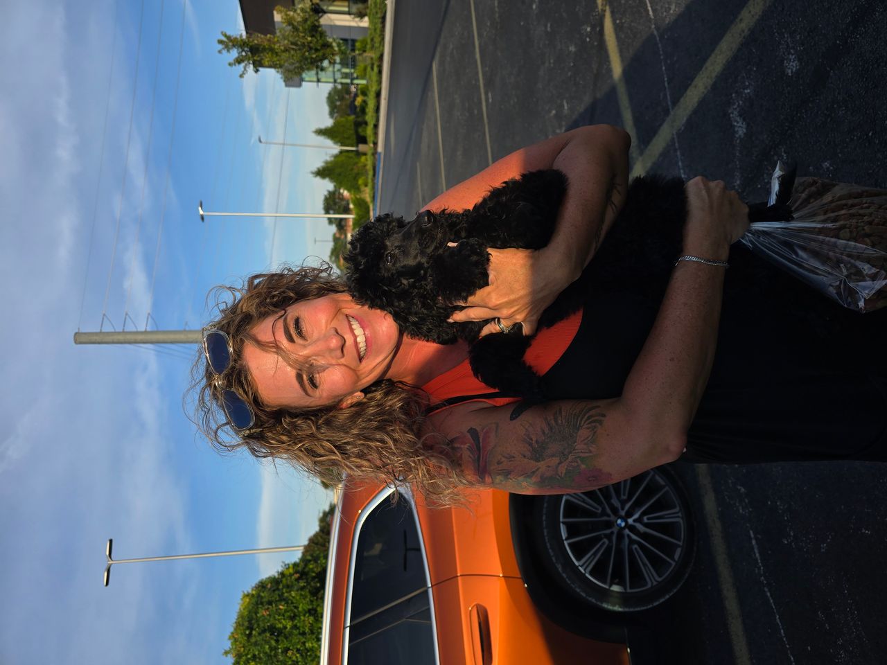 Pet travel photo 1
