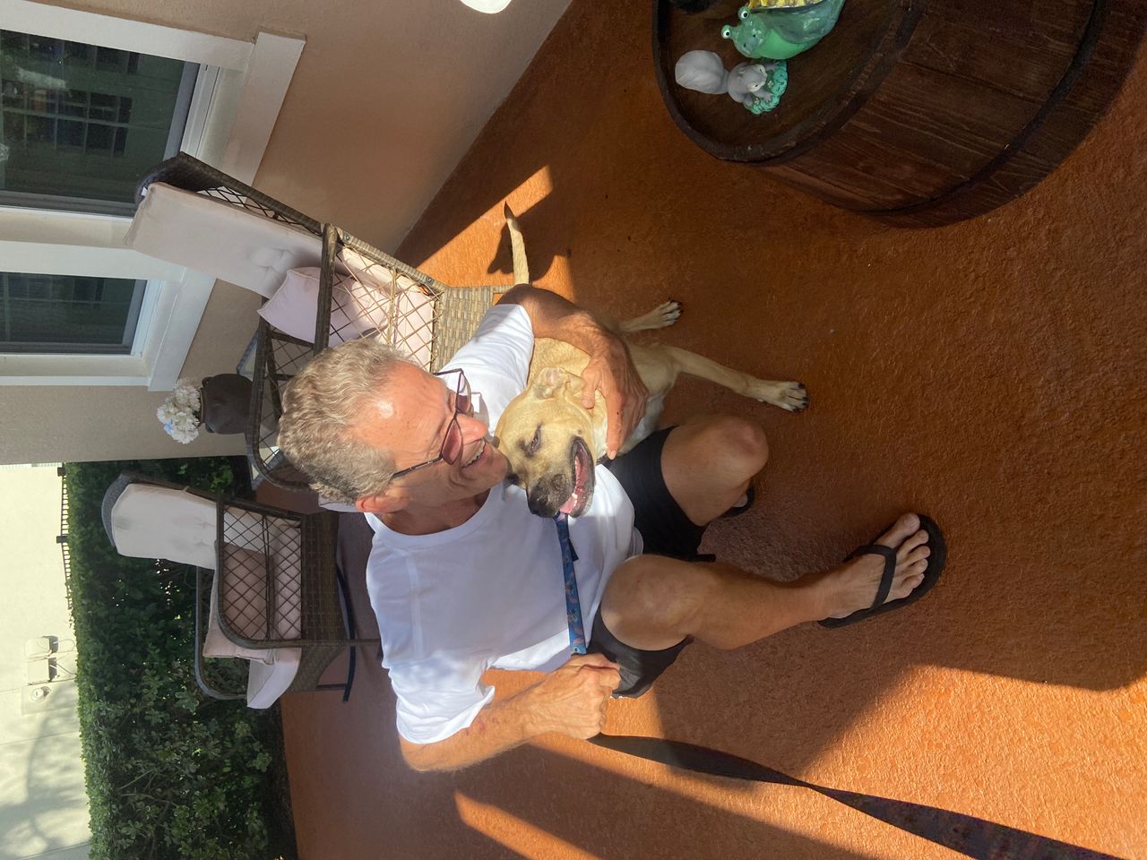 Pet travel photo 5