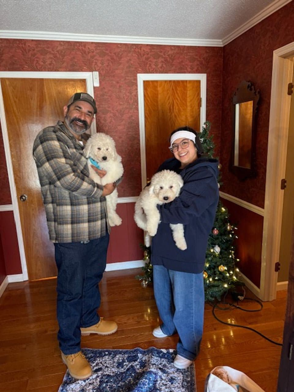 Pet travel photo 3