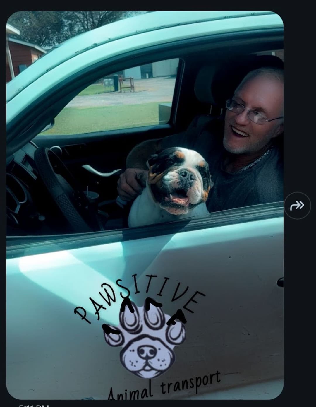 Paws'tive pet's transport express and freight courier