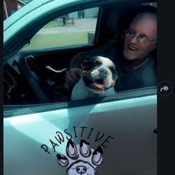 Paws'tive pet's transport express and freight courier