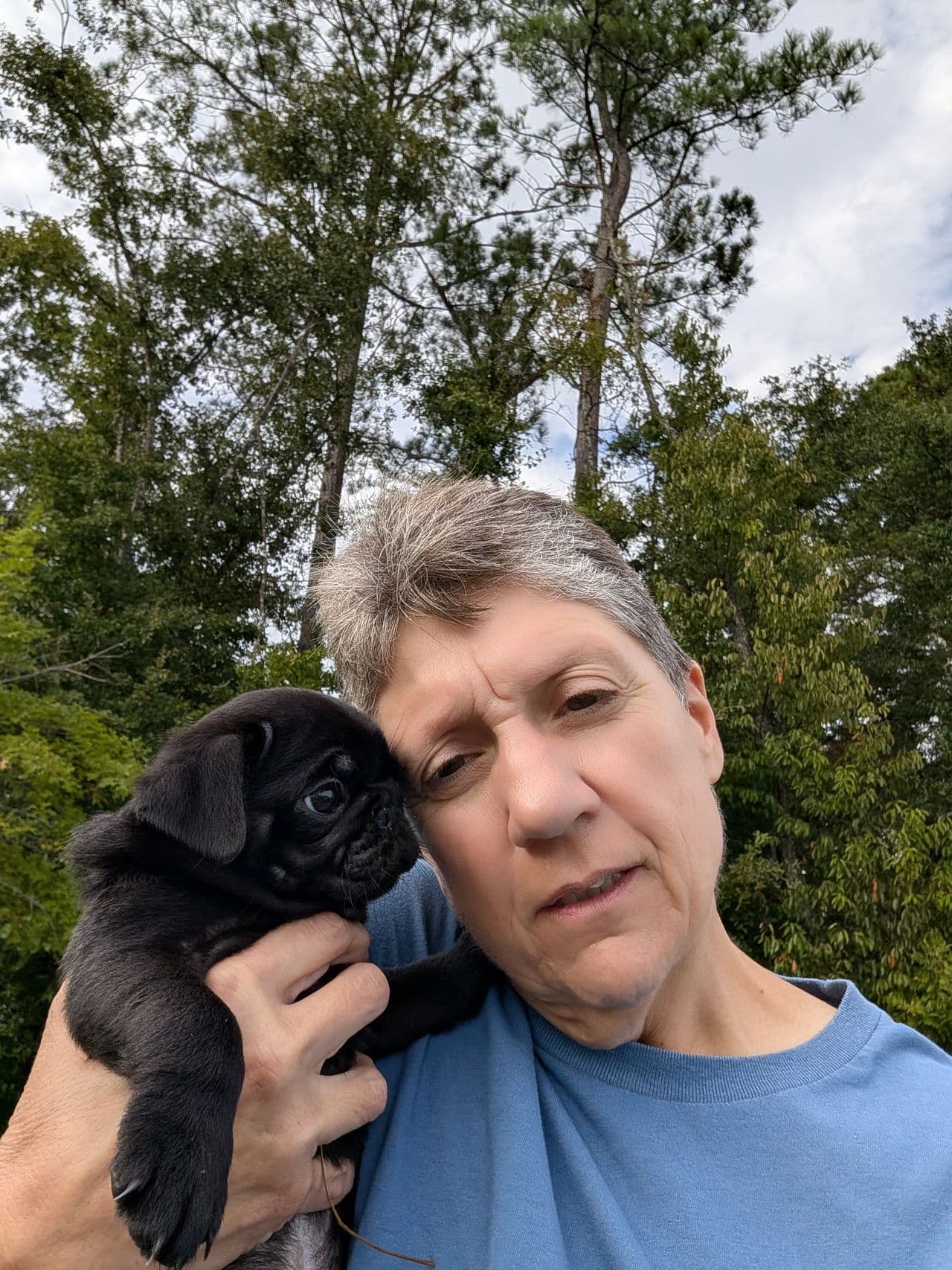 Pet travel photo 2