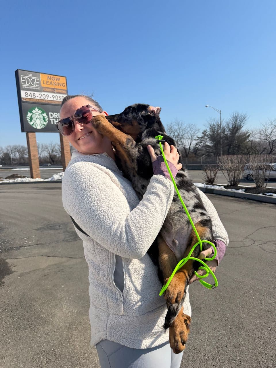 Pet travel photo 5