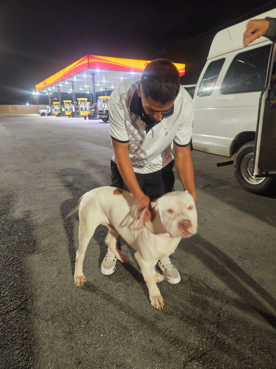 Pet travel photo 1