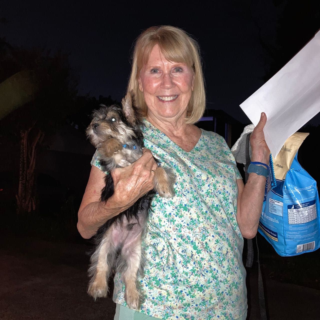 Pet travel photo 2