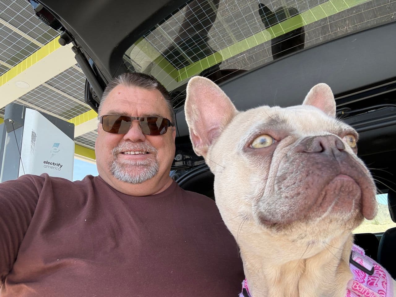 Pet travel photo 2