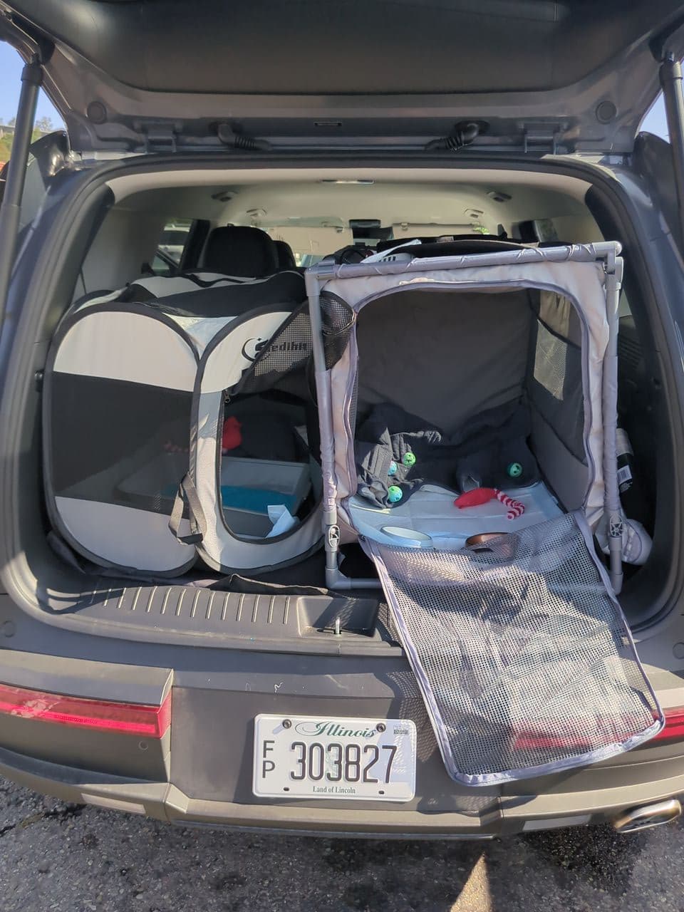 Pet travel photo 5