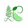 Lime and Cedar LLC
