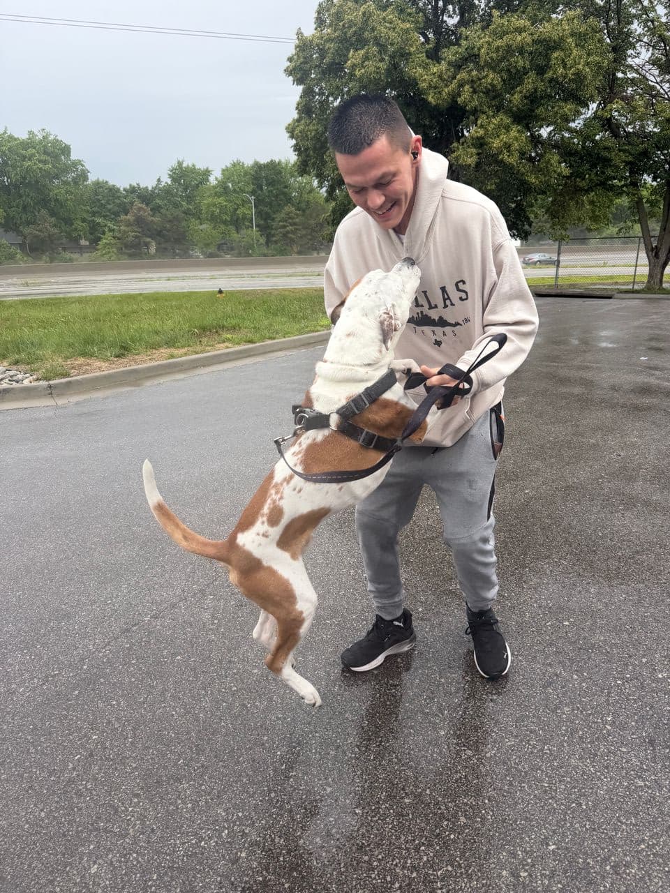 Pet travel photo 2