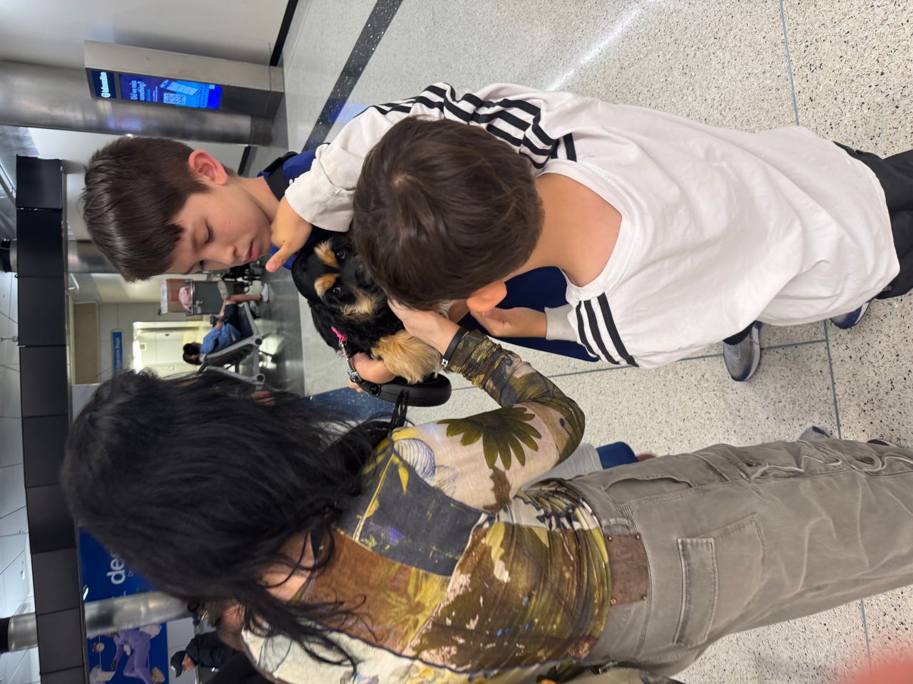 Pet travel photo 2